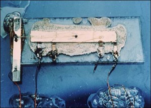 First Integrated Circuit